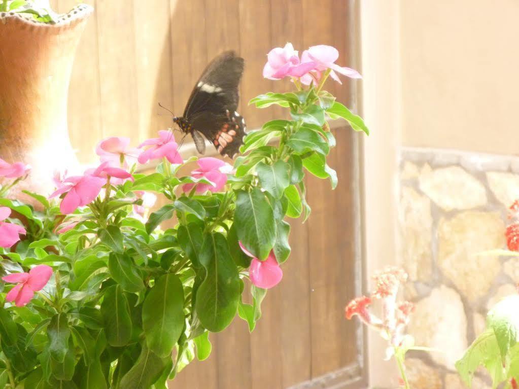 Hotel La Escalinata Copán エクステリア 写真